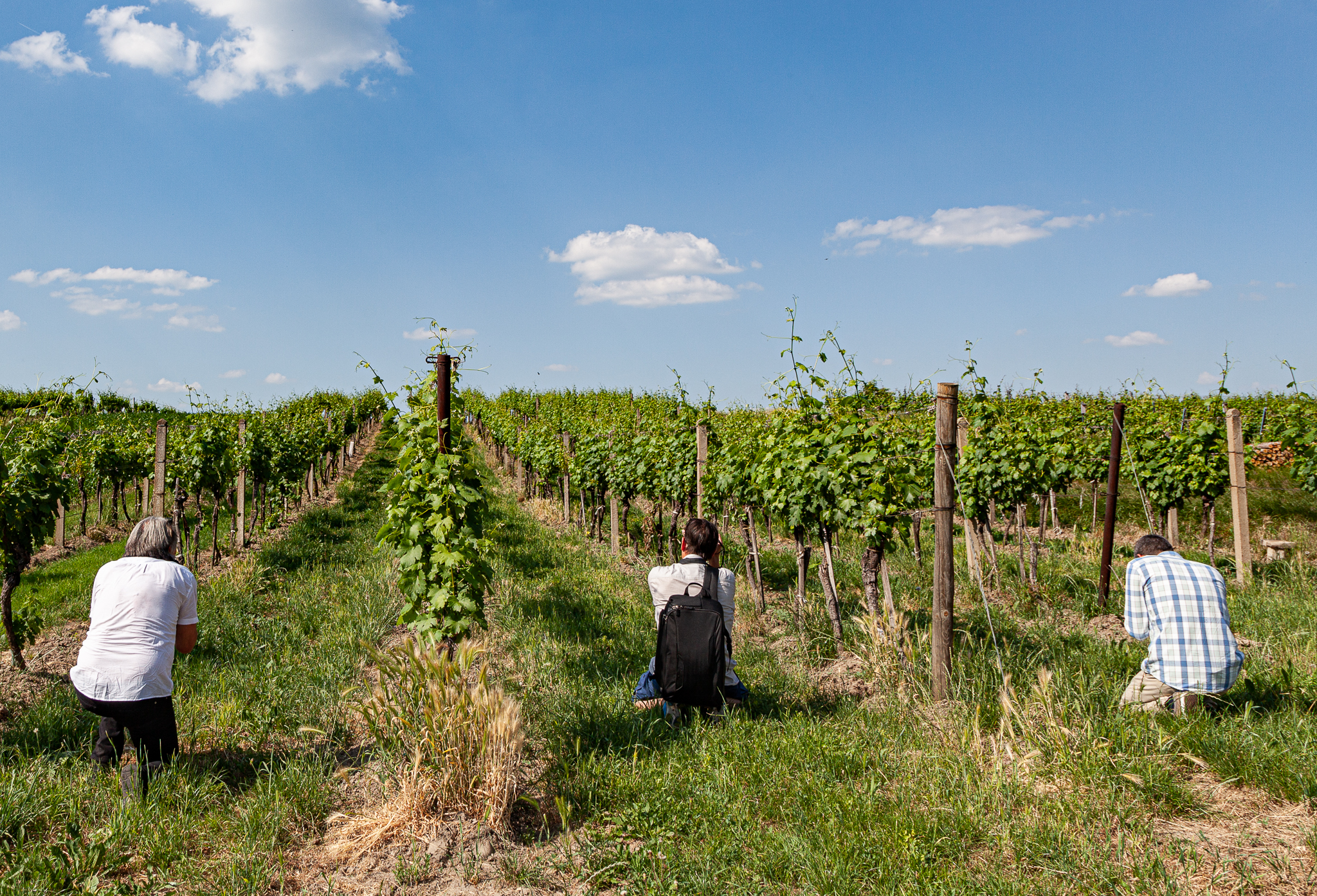IPA - Fotografieren ist heiss